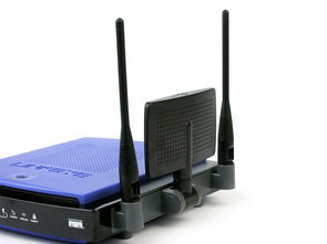 经典回顾 Linksys by Cisco WRT300N 无线路由器原图赏析